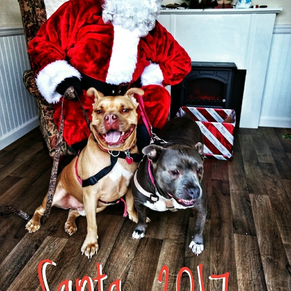 Meet your Posher, Jean - Picture 3 of 5